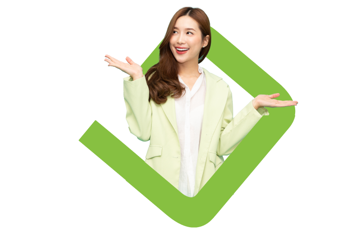 บริการ IT Outsourcing APNS